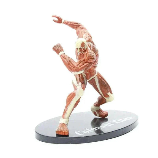 Figurine Attaque des Titans - Titan Colossal - Anime Town